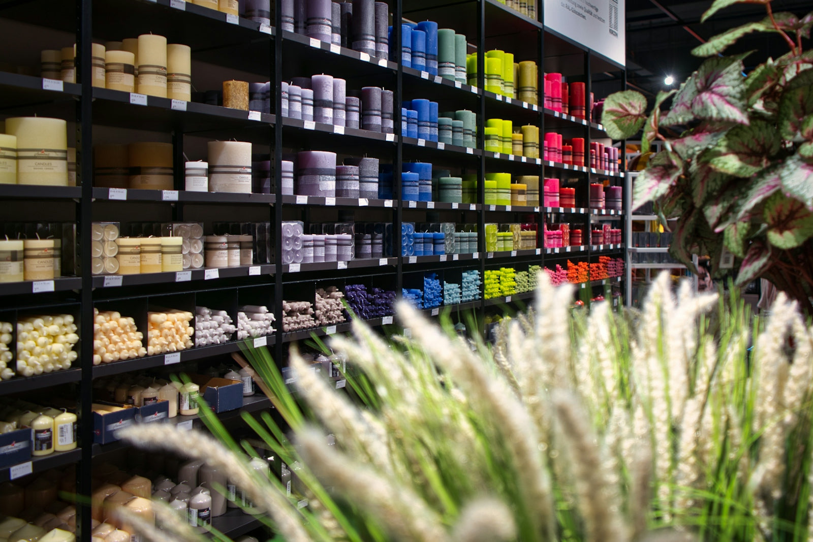 a store filled with lots of different types of items